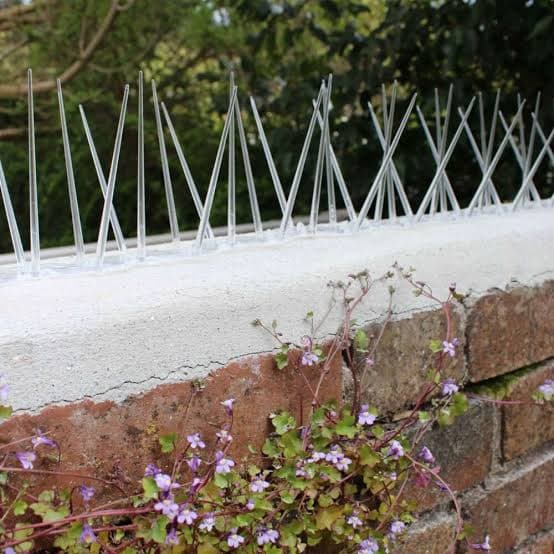 Secure Vista Solutions project photo 17 — bird spikes installation in Hyderabad