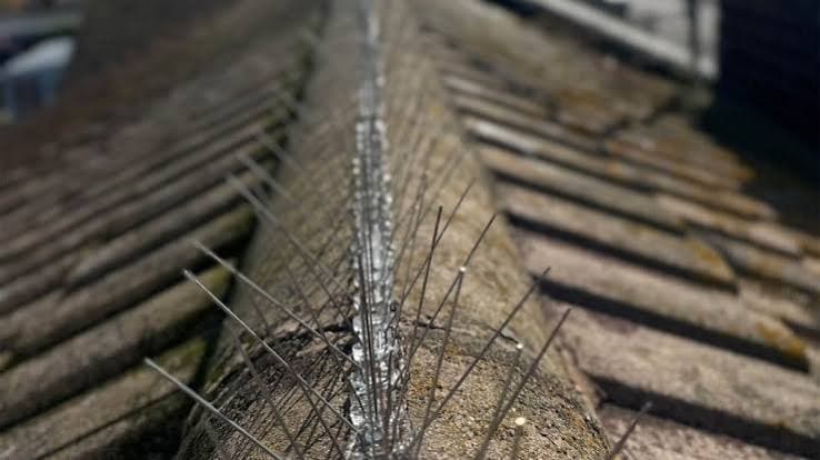 Secure Vista Solutions project photo 18 — bird spikes installation in Hyderabad
